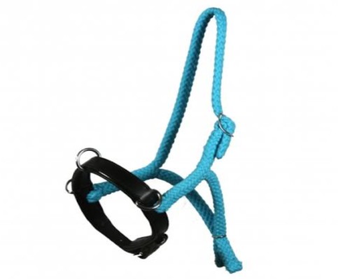 Thick Rope halter 